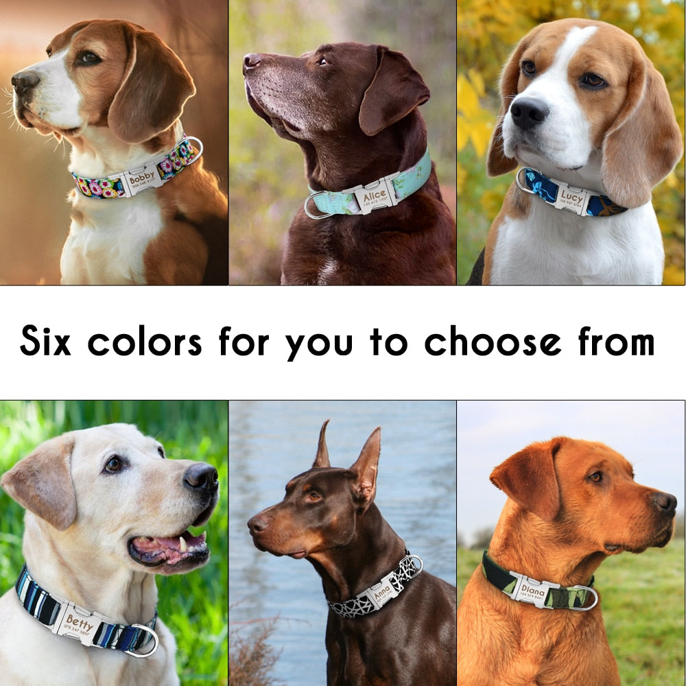 Personalized Dog Collar with Engraved ID Nameplate