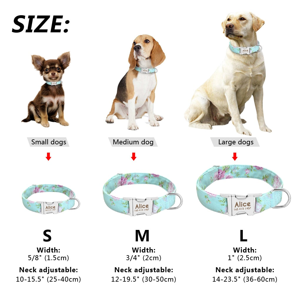 Personalized Dog Collar with Engraved ID Nameplate