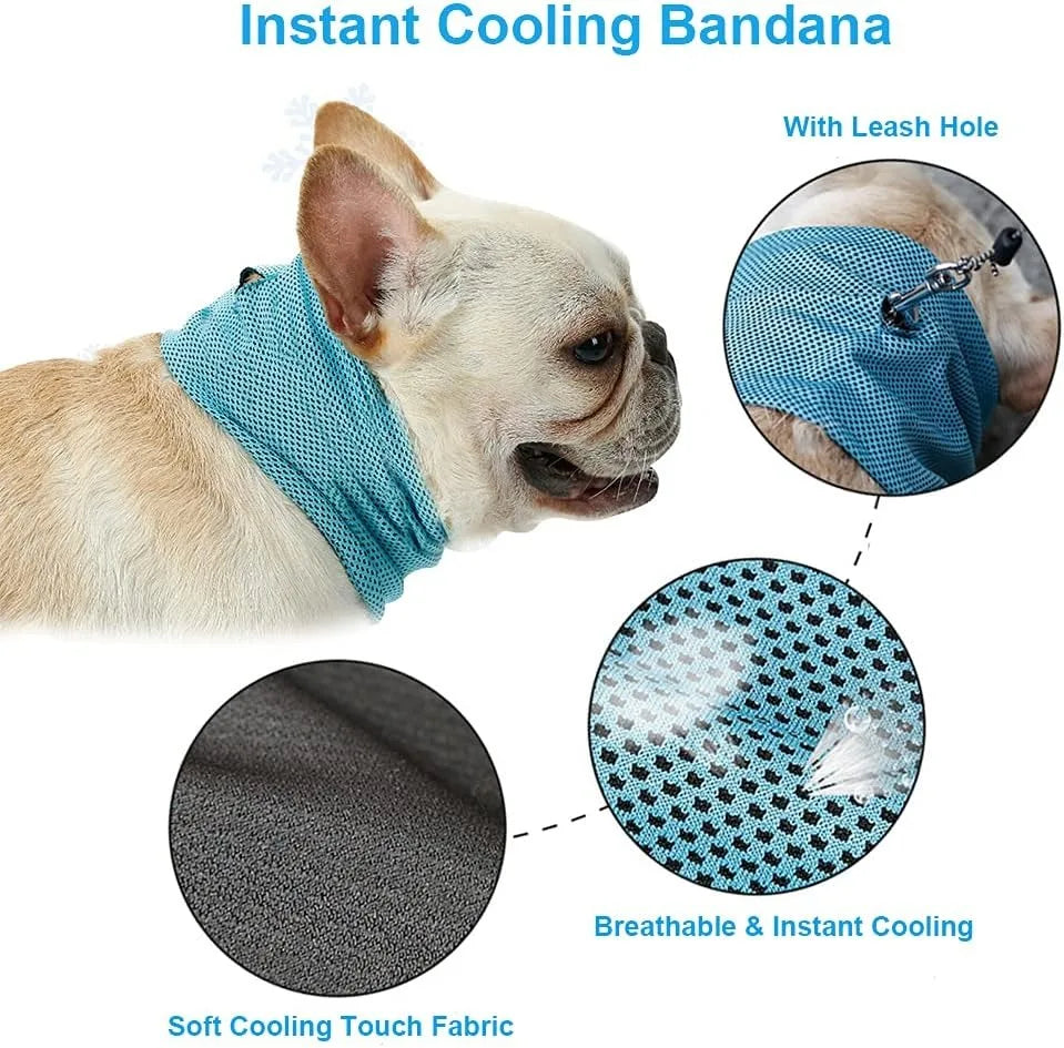 Dog Cooling Bandana for Instant Summer Walk Relief