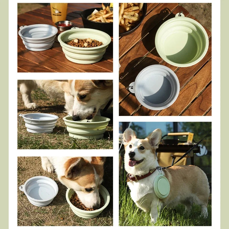 Foldable Dog Travel Bowl for Easy Outdoor Hydration