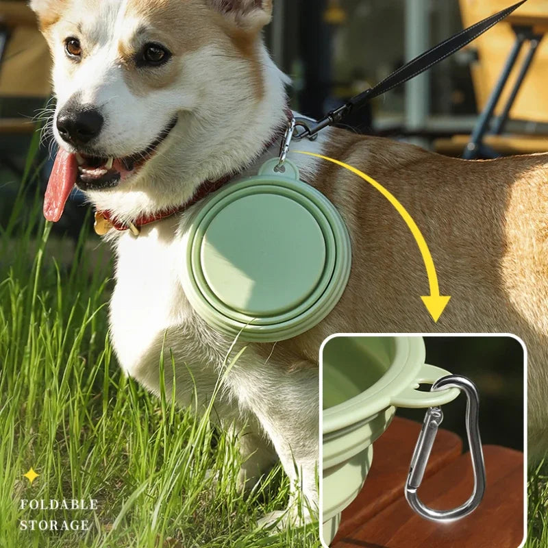 Foldable Dog Travel Bowl for Easy Outdoor Hydration