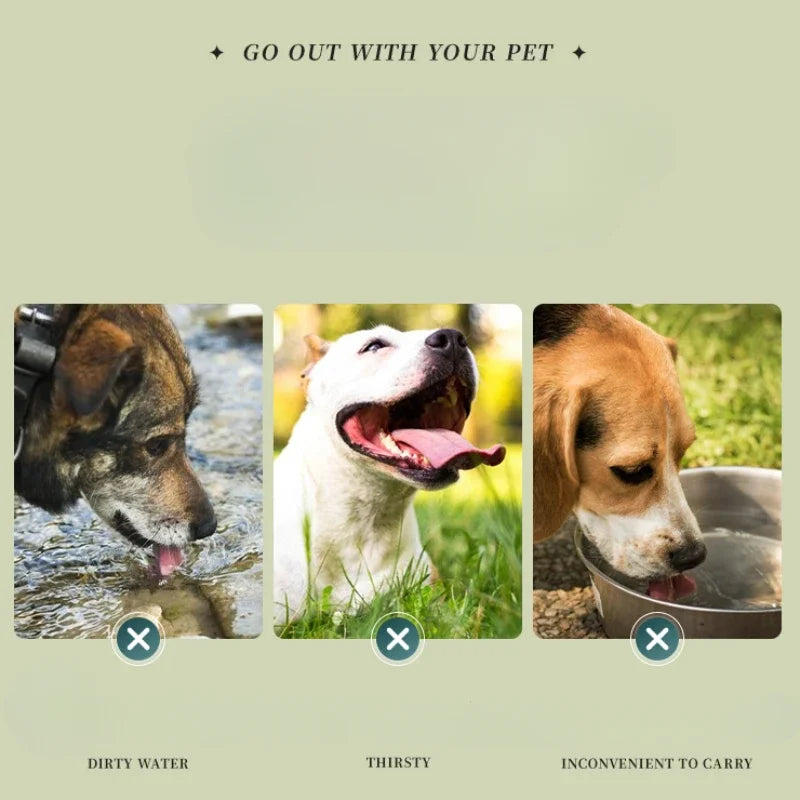 Foldable Dog Travel Bowl for Easy Outdoor Hydration