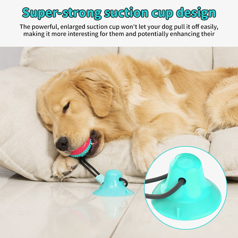 Interactive Dog Dental Chew Toy with Strong Suction
