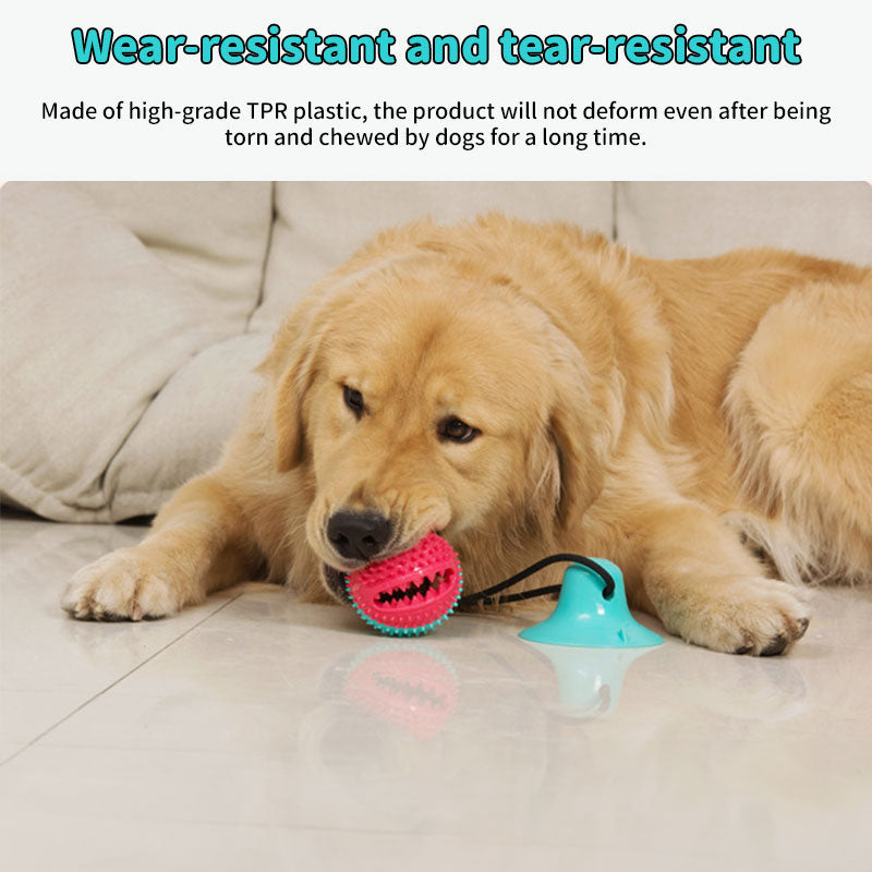 Interactive Dog Dental Chew Toy with Strong Suction