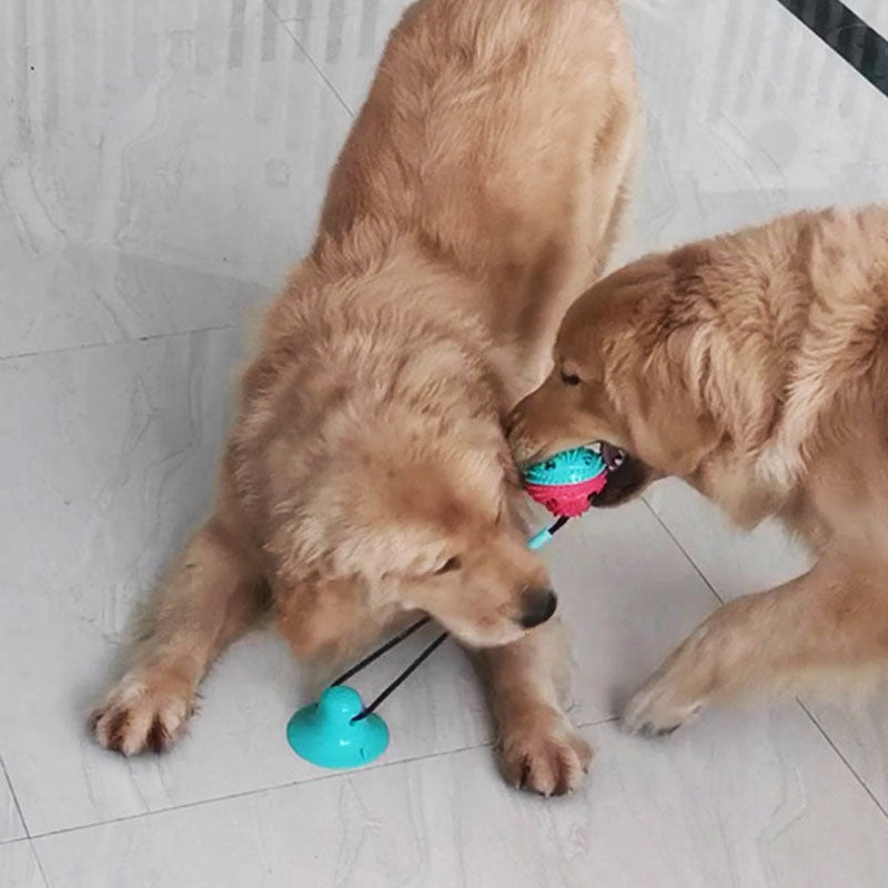 Interactive Dog Dental Chew Toy with Strong Suction