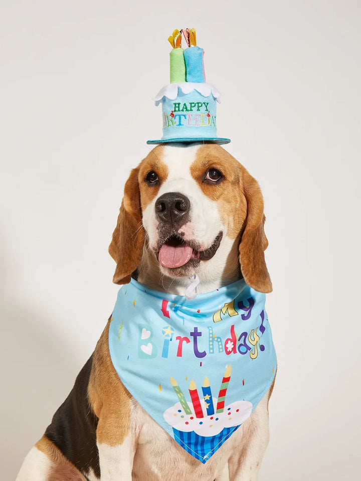 Dog Birthday Party Costume Set – 4-Piece Photo Props