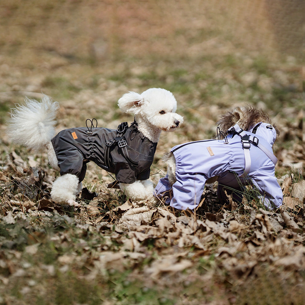 Dog Raincoat Poncho for Dry, Mud-Free Outdoor Walks