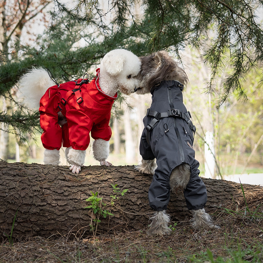 Dog Raincoat Poncho for Dry, Mud-Free Outdoor Walks