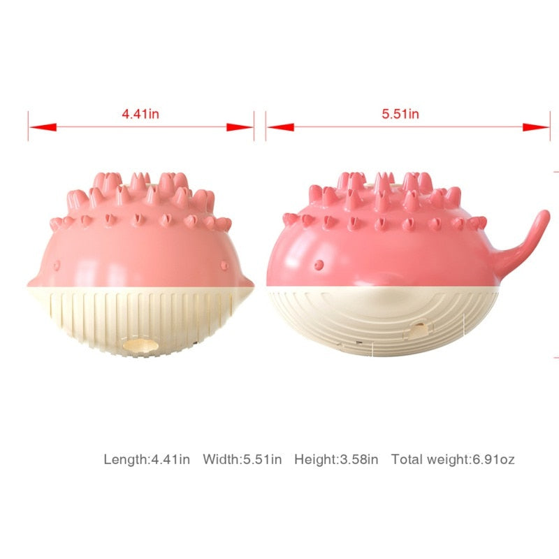Floating Dog Water Toy With Spray, Chew & Pool Play