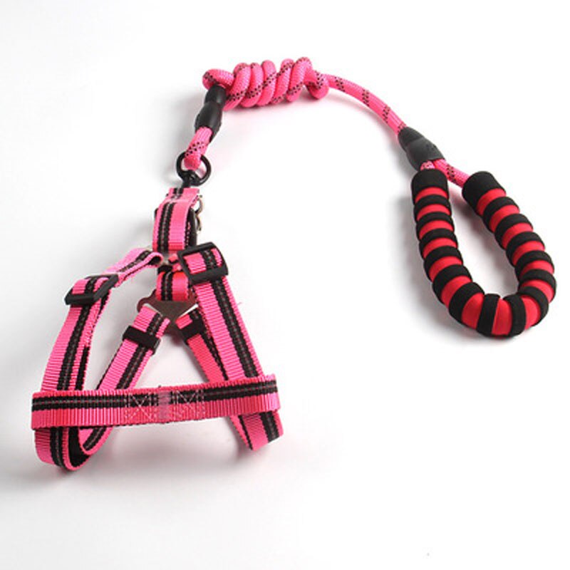 Large Dog Reflective Harness & Leash for Better Control
