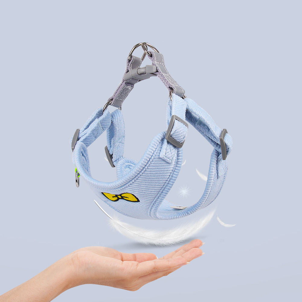 Small Dog Harness With Leash for Safer Night Walks