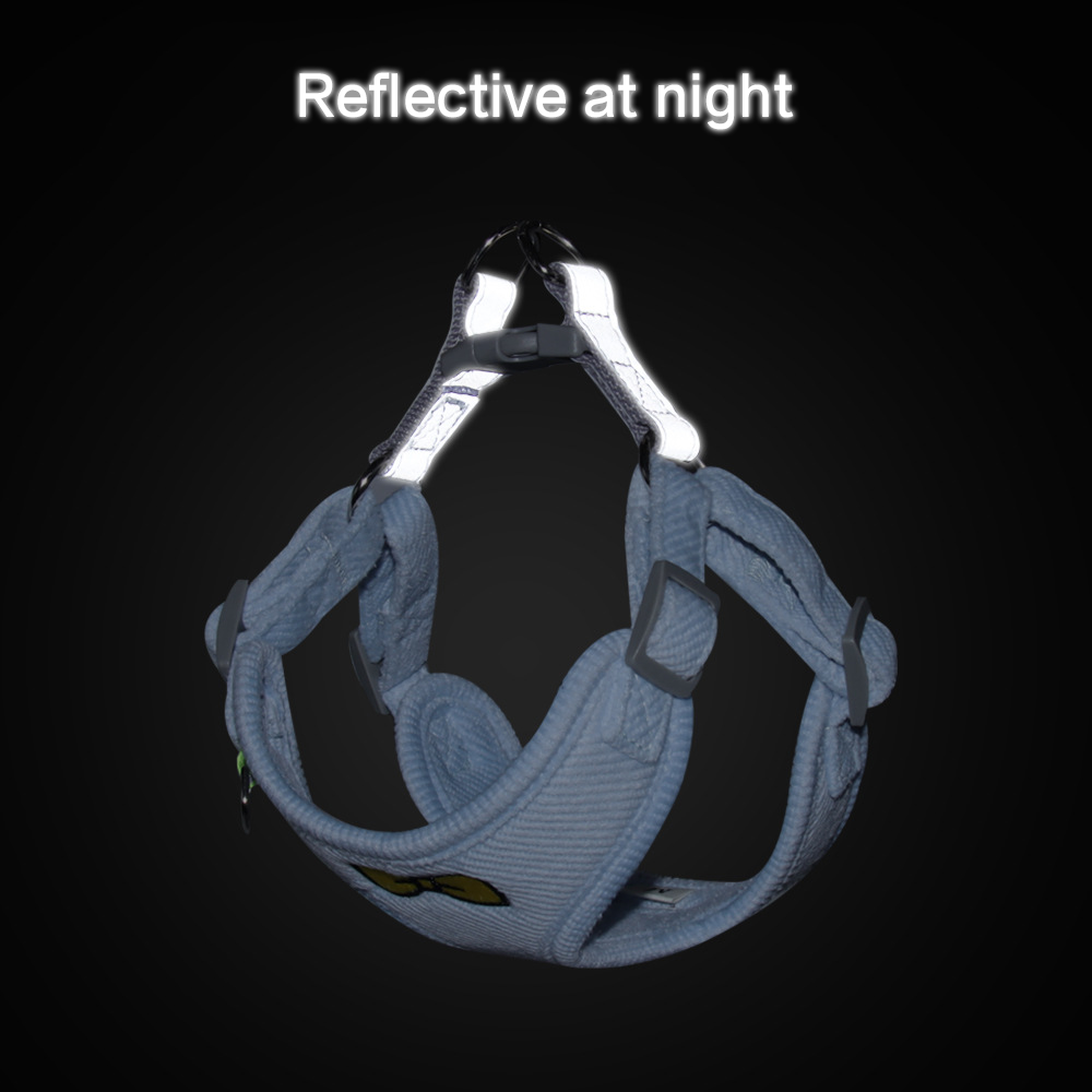 Small Dog Harness With Leash for Safer Night Walks