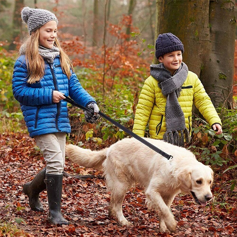 Reflective Dual-Handle Dog Leash for Safer Daily Walks