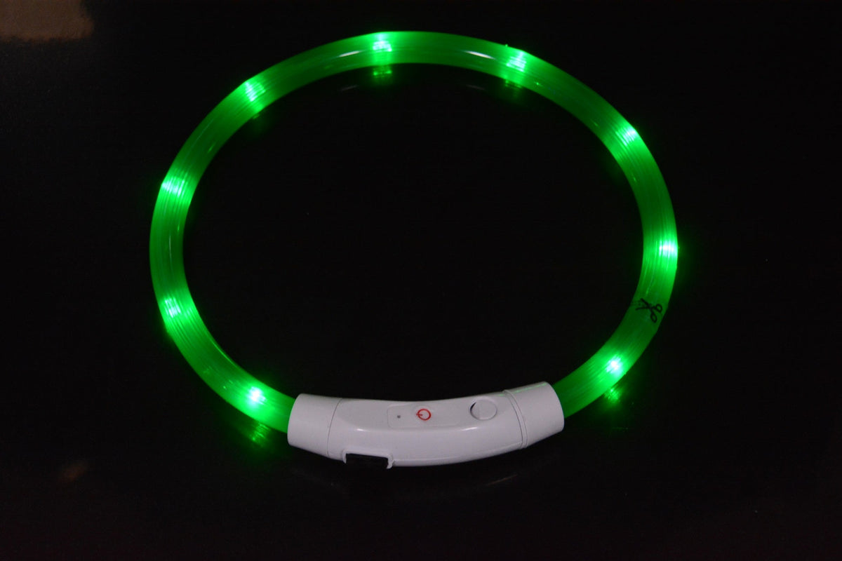 LED Dog Collar for Nighttime Visibility & Walking Safety