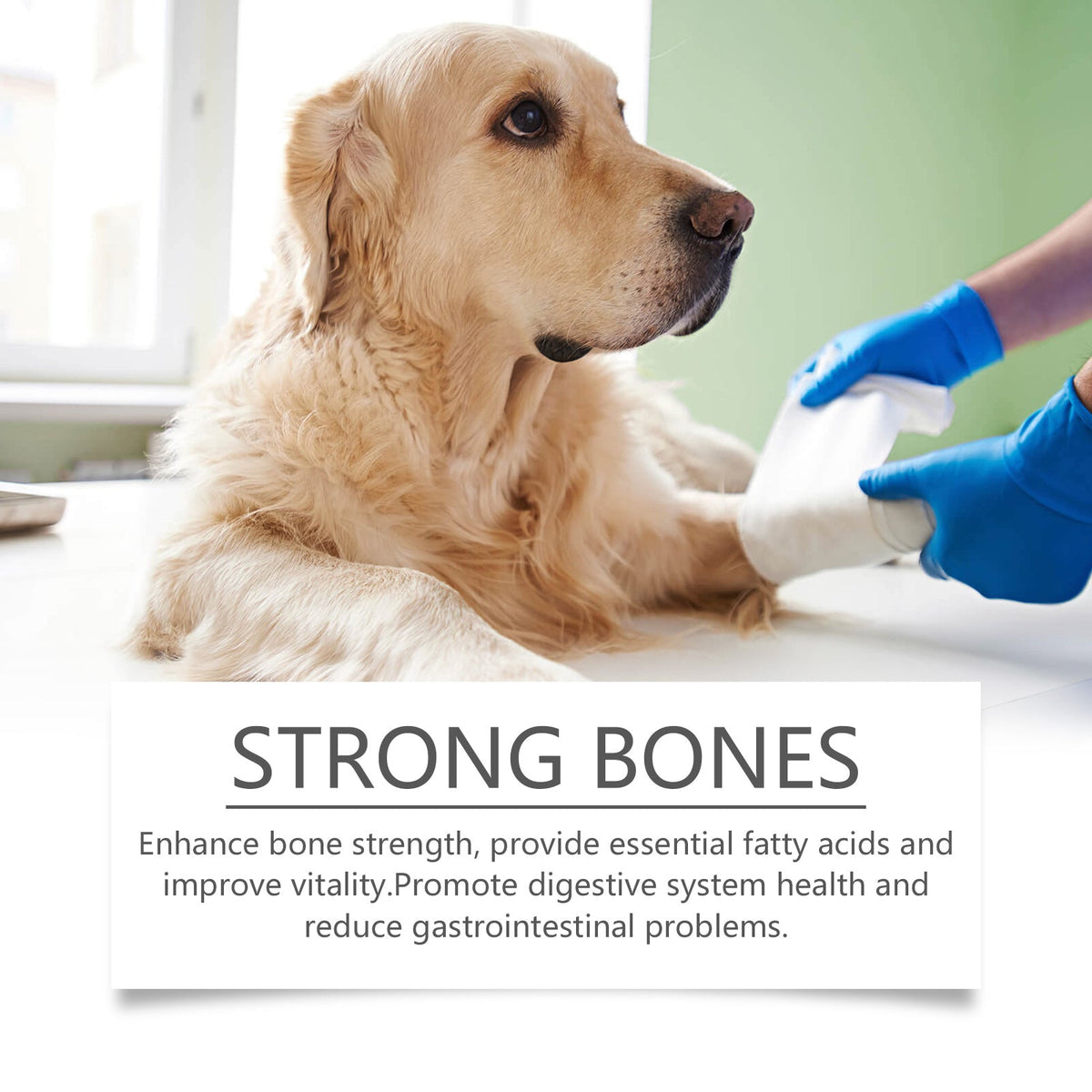 Dog Fish Oil Tablets for Skin, Coat & Joint Support