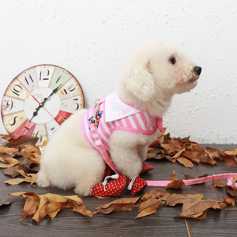 Dog Harness And Leash Set For Stylish Secure Walks