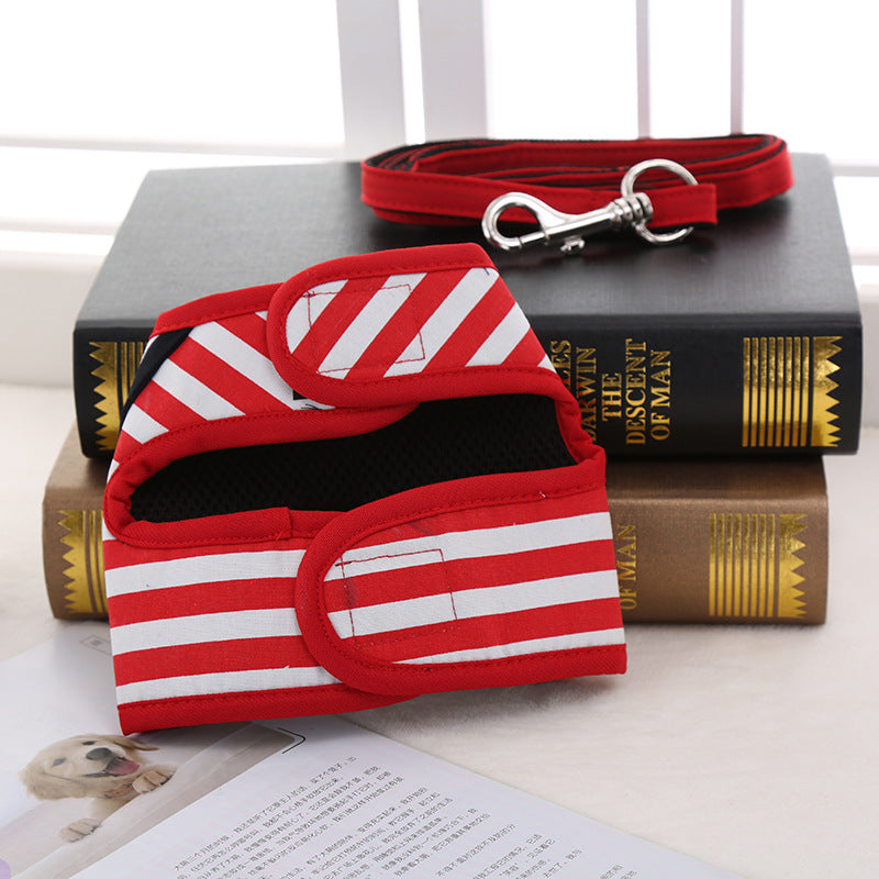 Dog Harness And Leash Set For Stylish Secure Walks