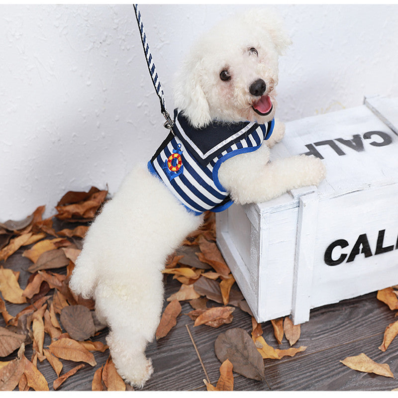 Dog Harness And Leash Set For Stylish Secure Walks