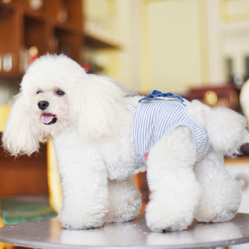 Female Dog Sanitary Pants for Heat-Cycle Protection