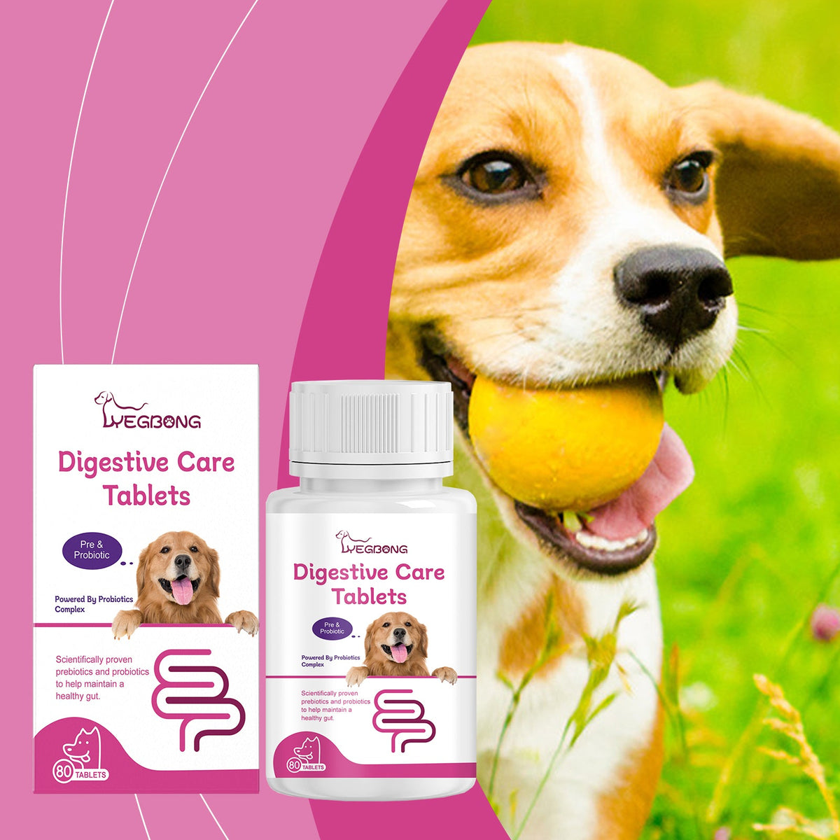 Dog Probiotic Tablets for Digestive Health Support