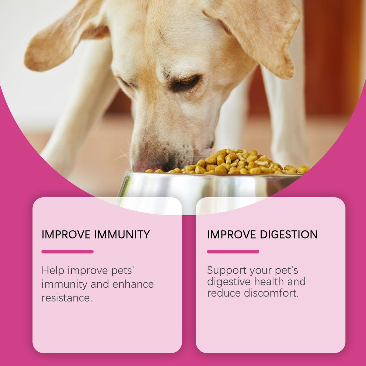 Dog Probiotic Tablets for Digestive Health Support