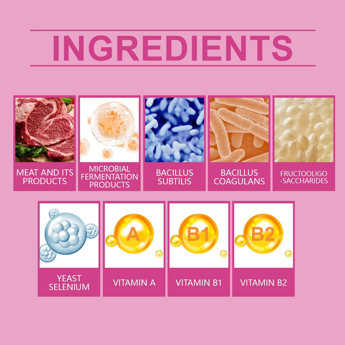 Dog Probiotic Tablets for Digestive Health Support