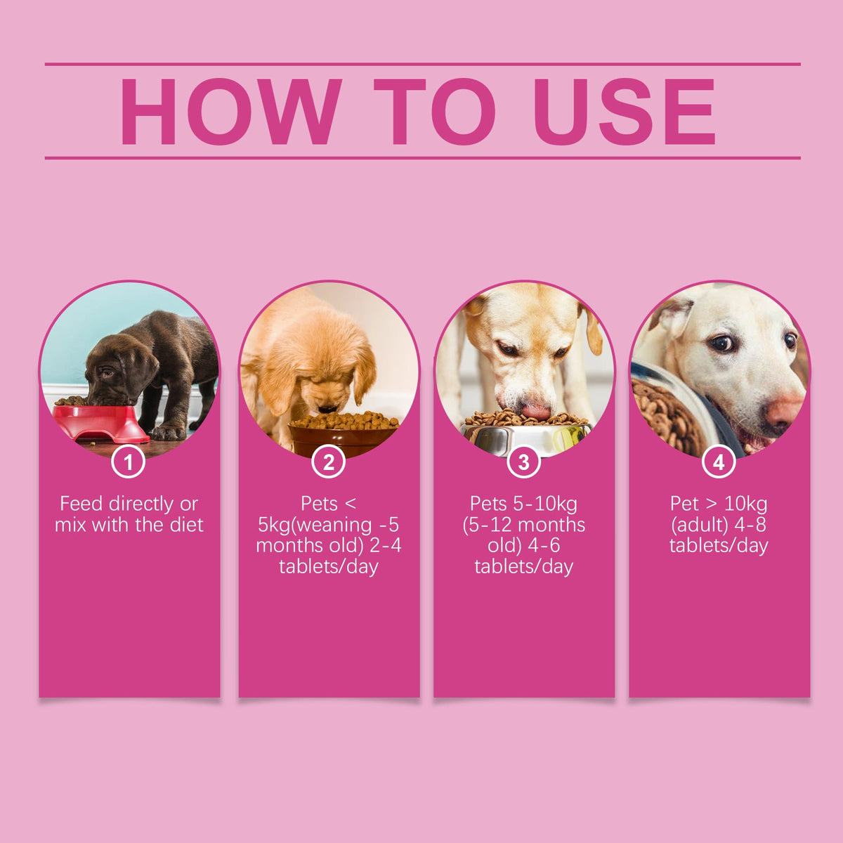 Dog Probiotic Tablets for Digestive Health Support