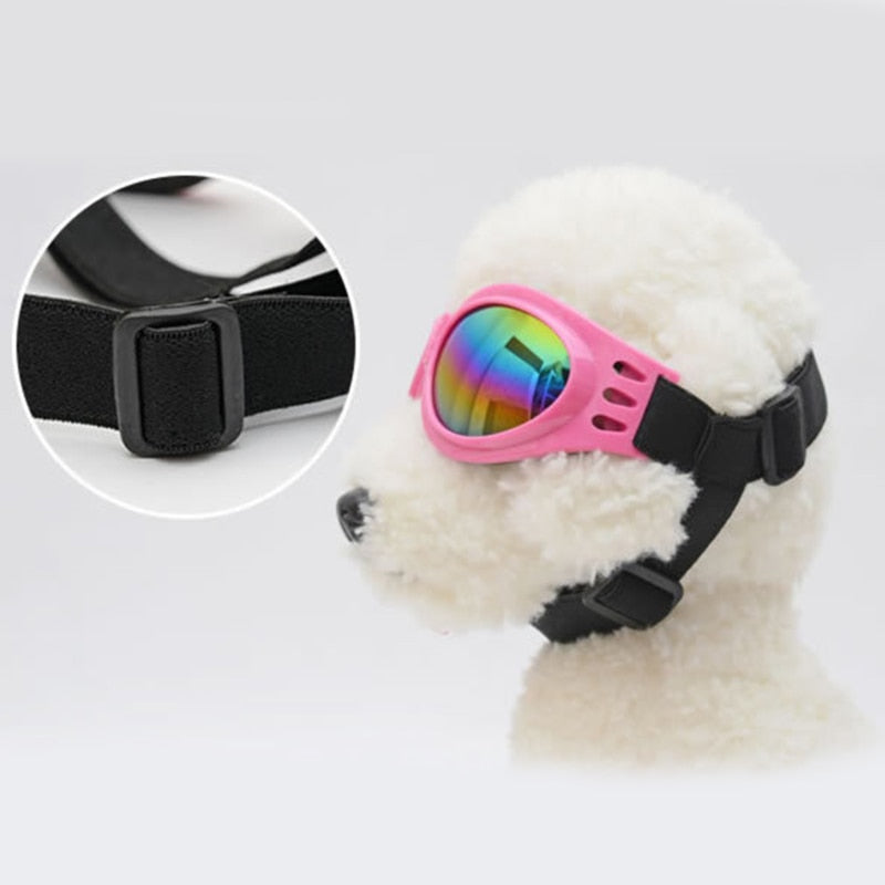 Dog Goggles for Medium Large Dogs Outdoor Eye Protection