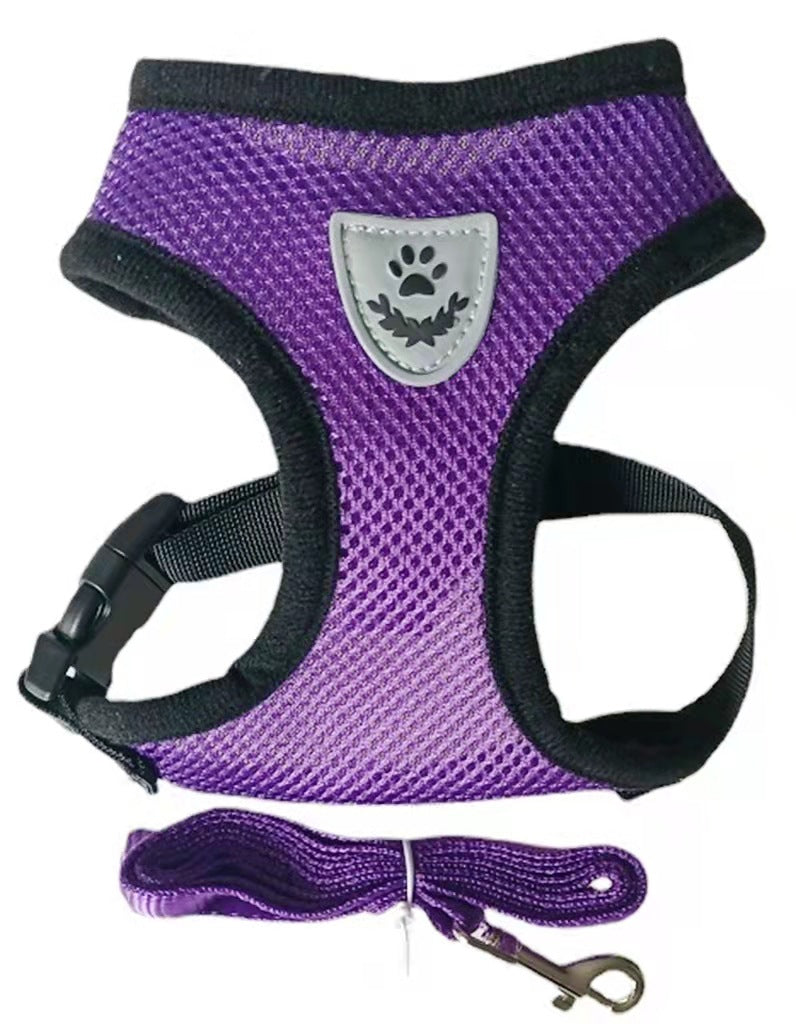 Dog Harness and Leash Set for Comfortable Daily Walks