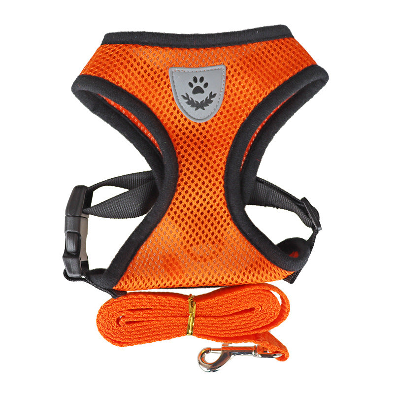 Dog Harness and Leash Set for Comfortable Daily Walks