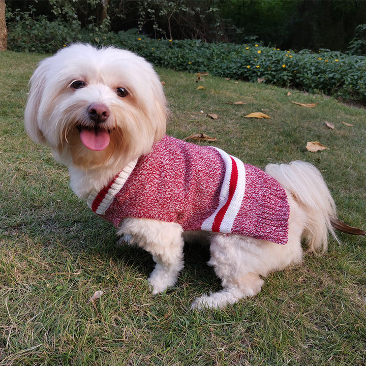Dog Sweater Knit Comfort for Small Dogs and Cats Daily