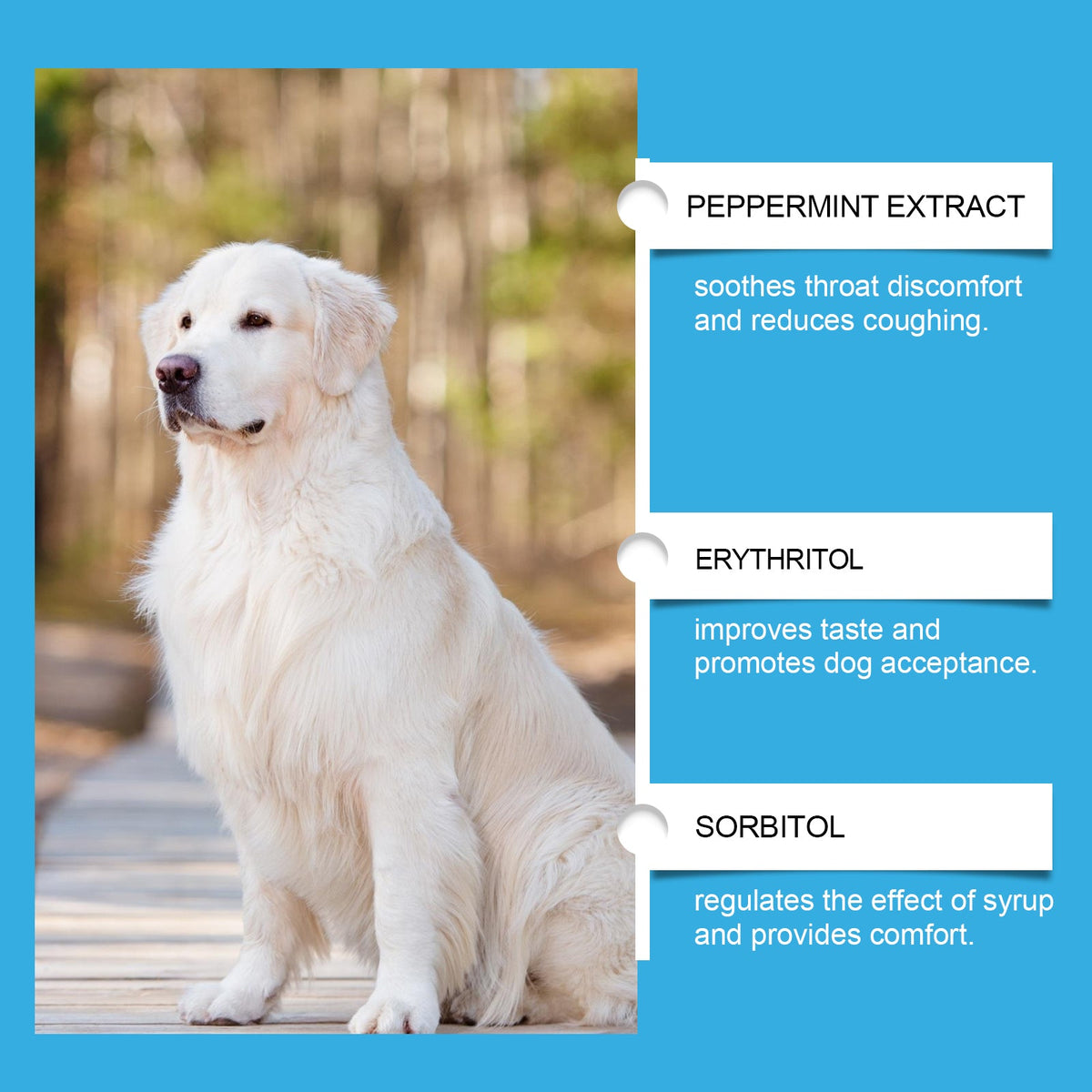 Dog Respiratory Support Syrup With Dropper