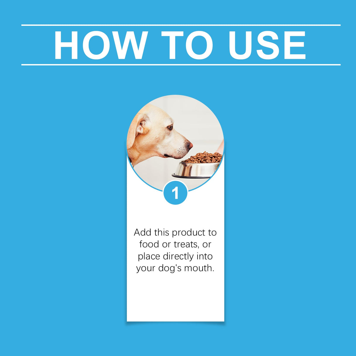 Dog Respiratory Support Syrup With Dropper