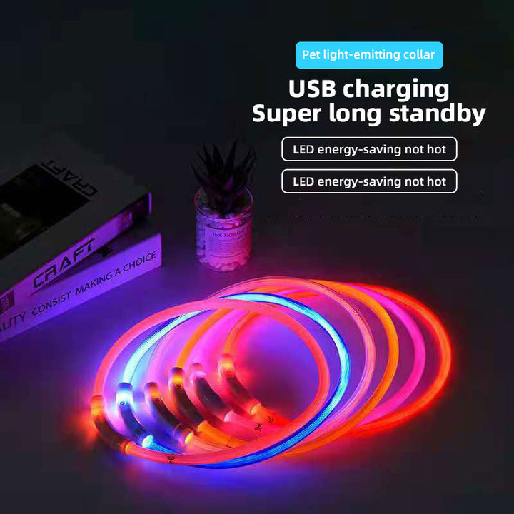 LED Dog Collar for Night Walks | USB Rechargeable