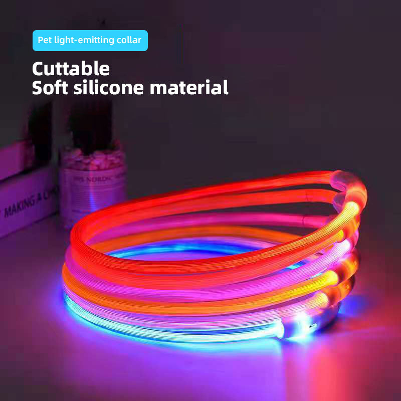LED Dog Collar for Night Walks | USB Rechargeable
