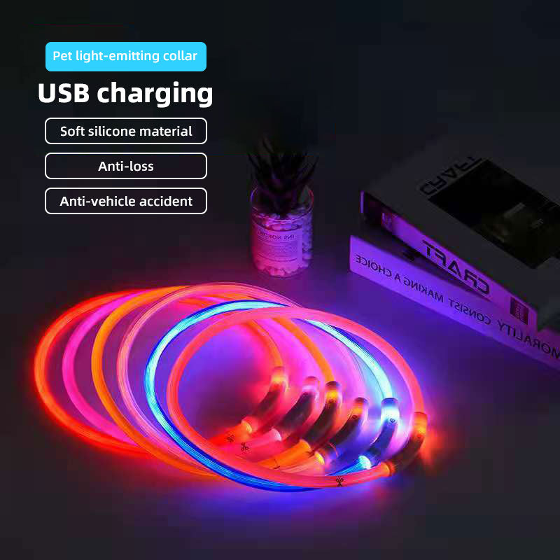 LED Dog Collar for Night Walks | USB Rechargeable