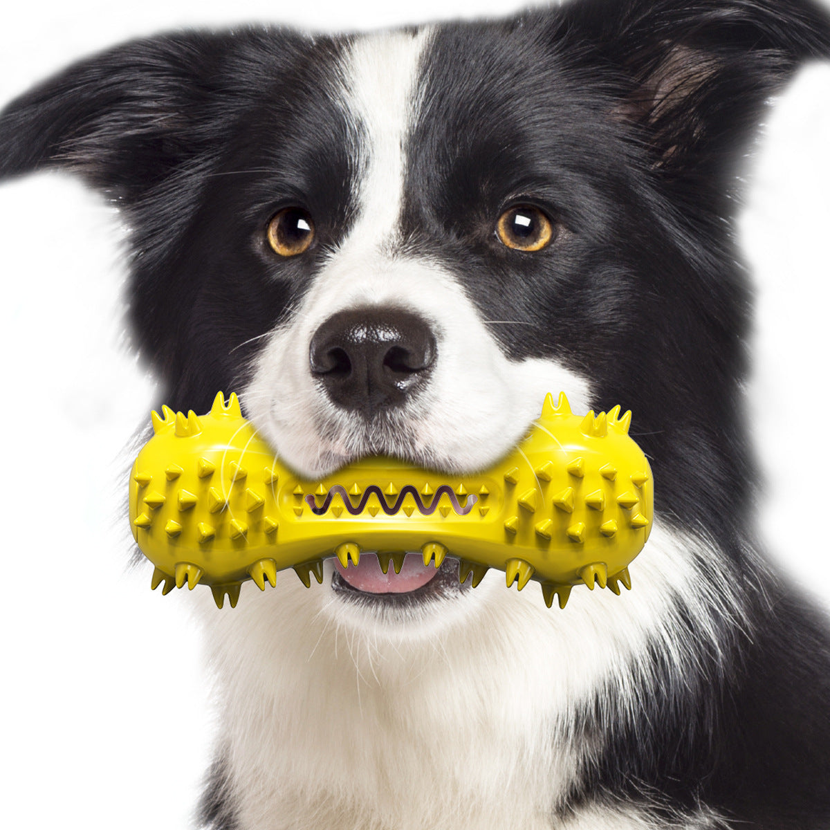 Dog Dental Chew Toy for Everyday Teeth Cleaning Support