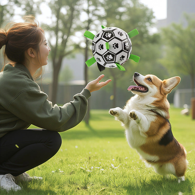 Dog Soccer Ball for Teeth-Cleaning Interactive Play