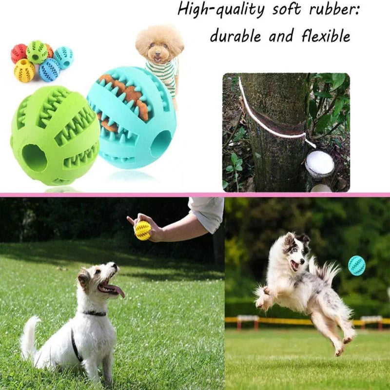Interactive Dog Ball for Dental Cleaning & Treat Play