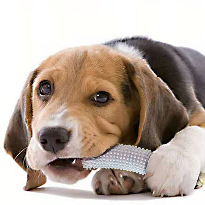 Dog Chew Toy for Boredom Relief & Molar Stimulation