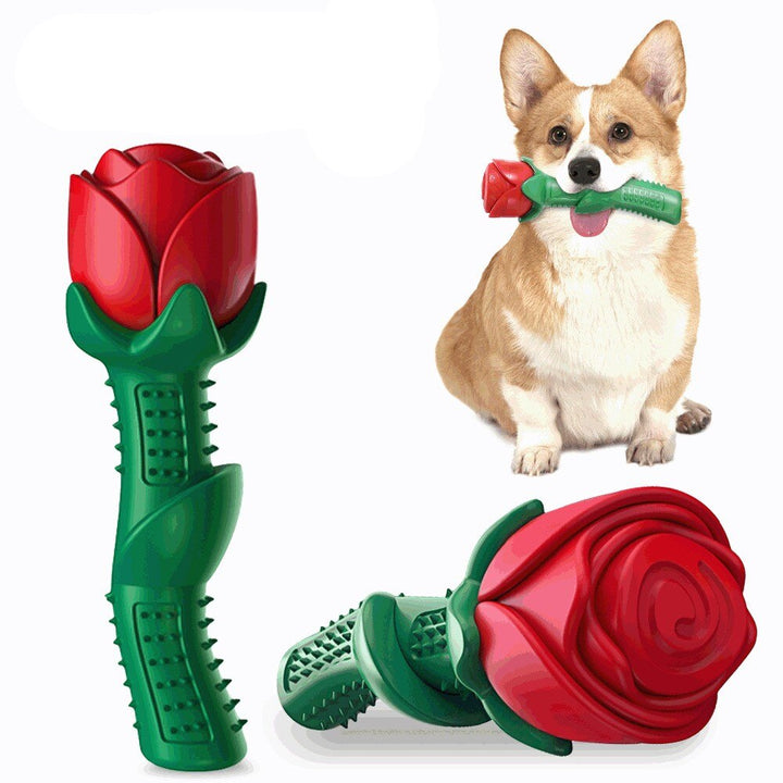 Dog Dental Chew Toy for Plaque, Tartar and Fresh Breath