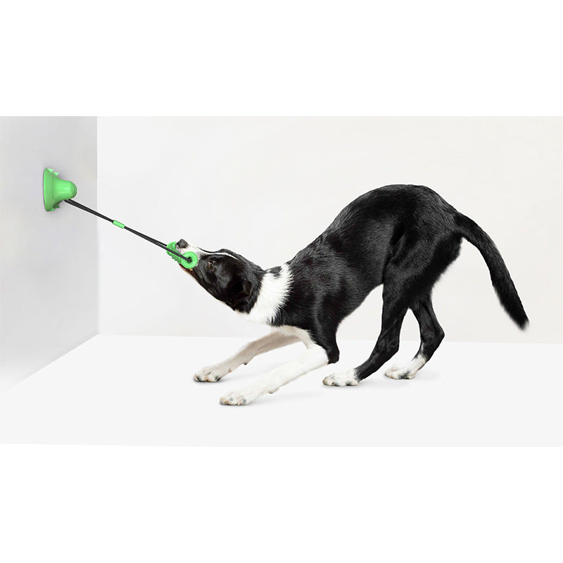 Dog Suction Cup Tug Toy for Indoor Dental Play