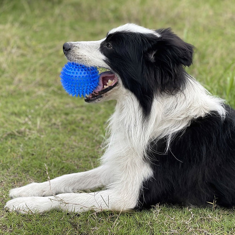 Spiked Ball Dog Toy for Medium Dogs Interactive Chew