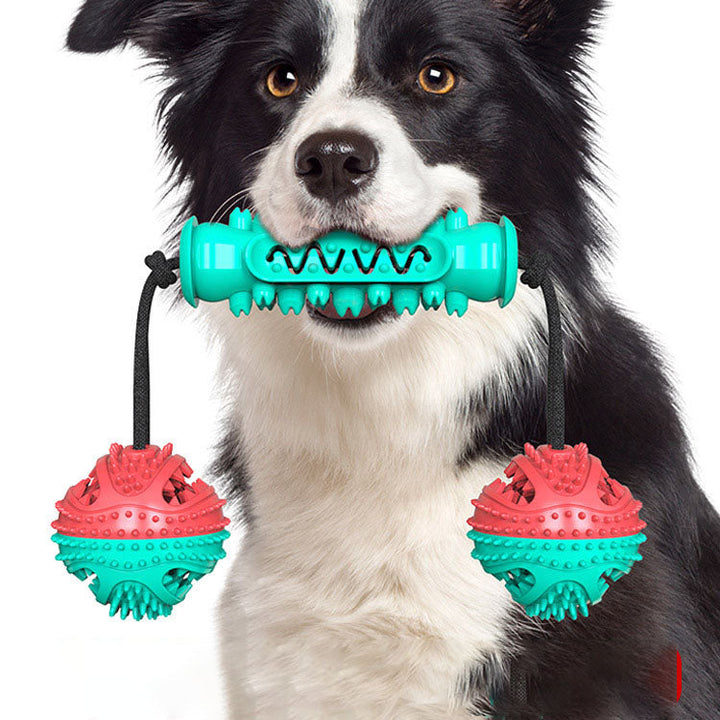 Dog Dental Chew Toy Set for Engaging Interactive Play