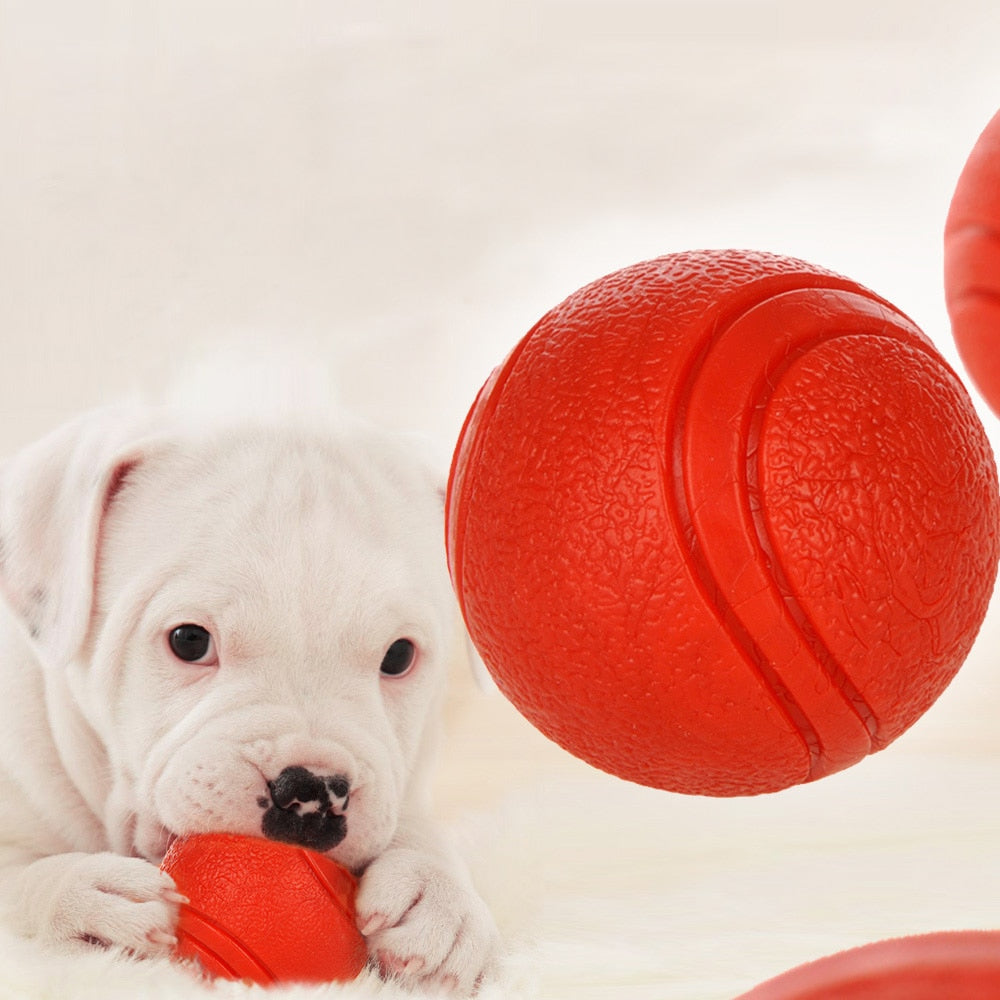 Dog Rubber Ball Toy for Durable Fetch and Chew Play