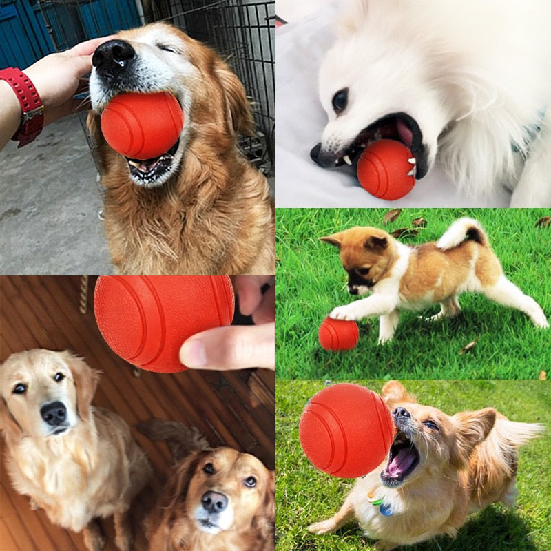 Dog Rubber Ball Toy for Durable Fetch and Chew Play