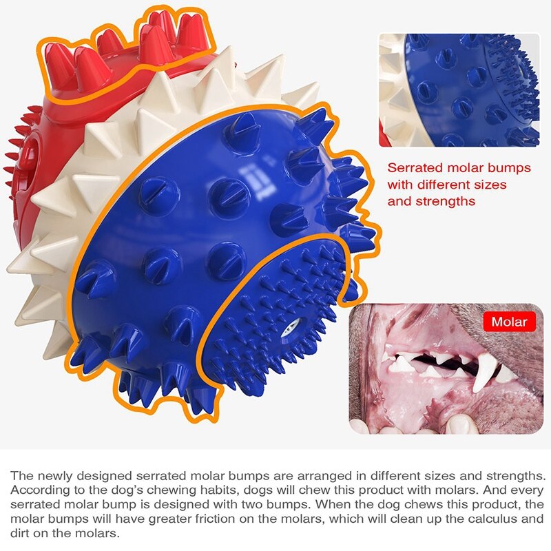 Interactive Dog Ball Toy for Treats and Water Play