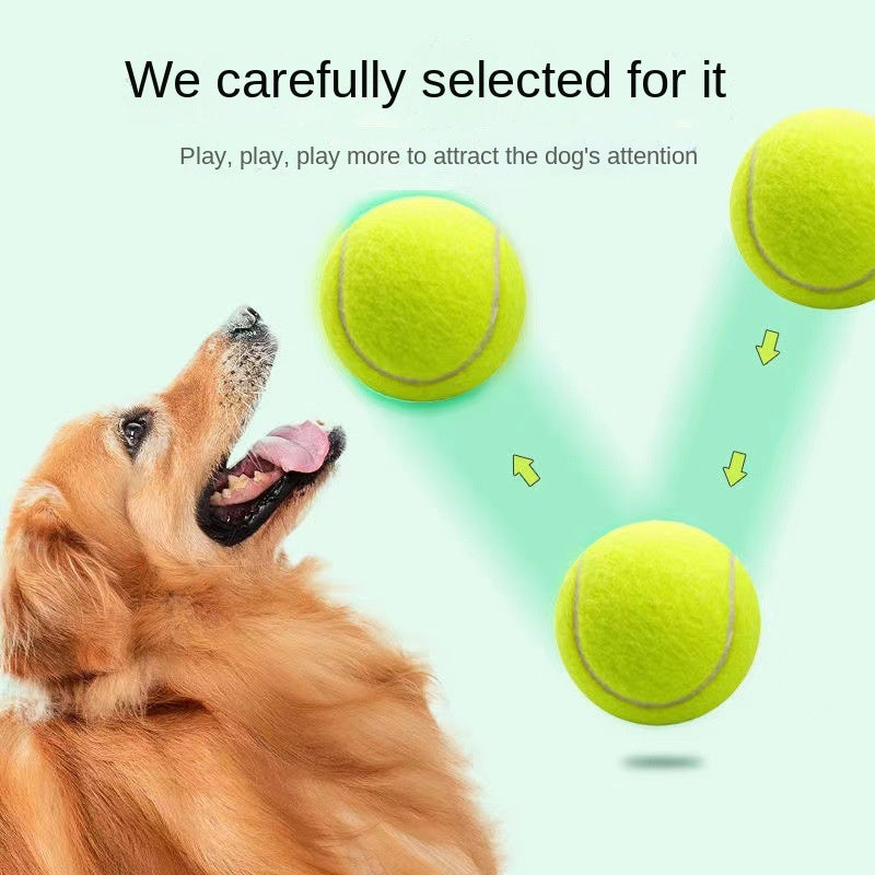 Rubber Dog Fetch Ball for Visible, Active Outdoor Play