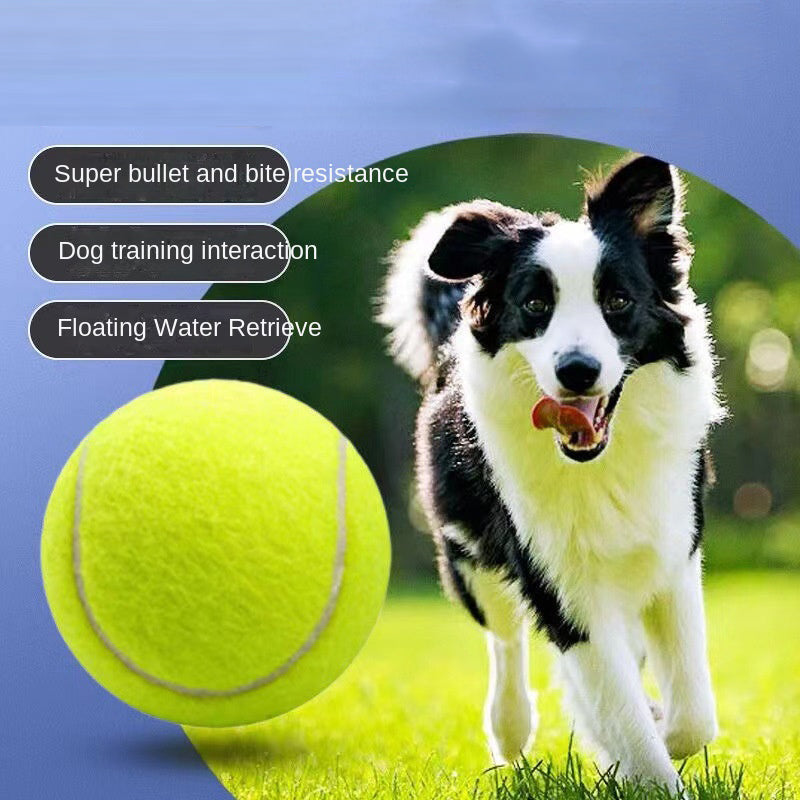 Rubber Dog Fetch Ball for Visible, Active Outdoor Play