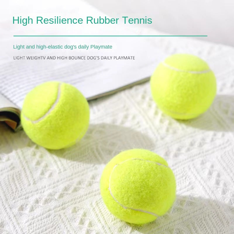 Rubber Dog Fetch Ball for Visible, Active Outdoor Play
